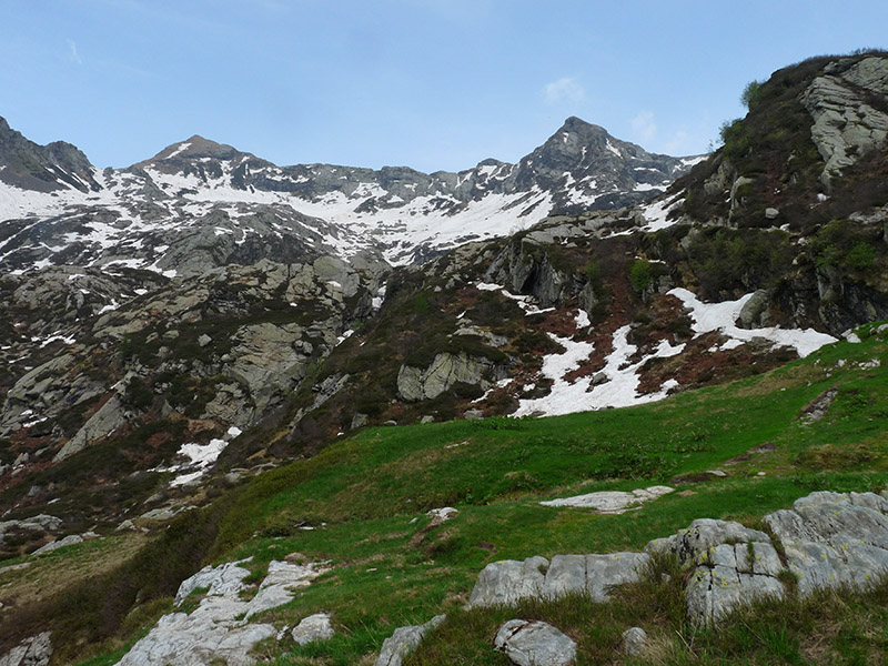 Lamproderma, forse ovoideoechinulatum